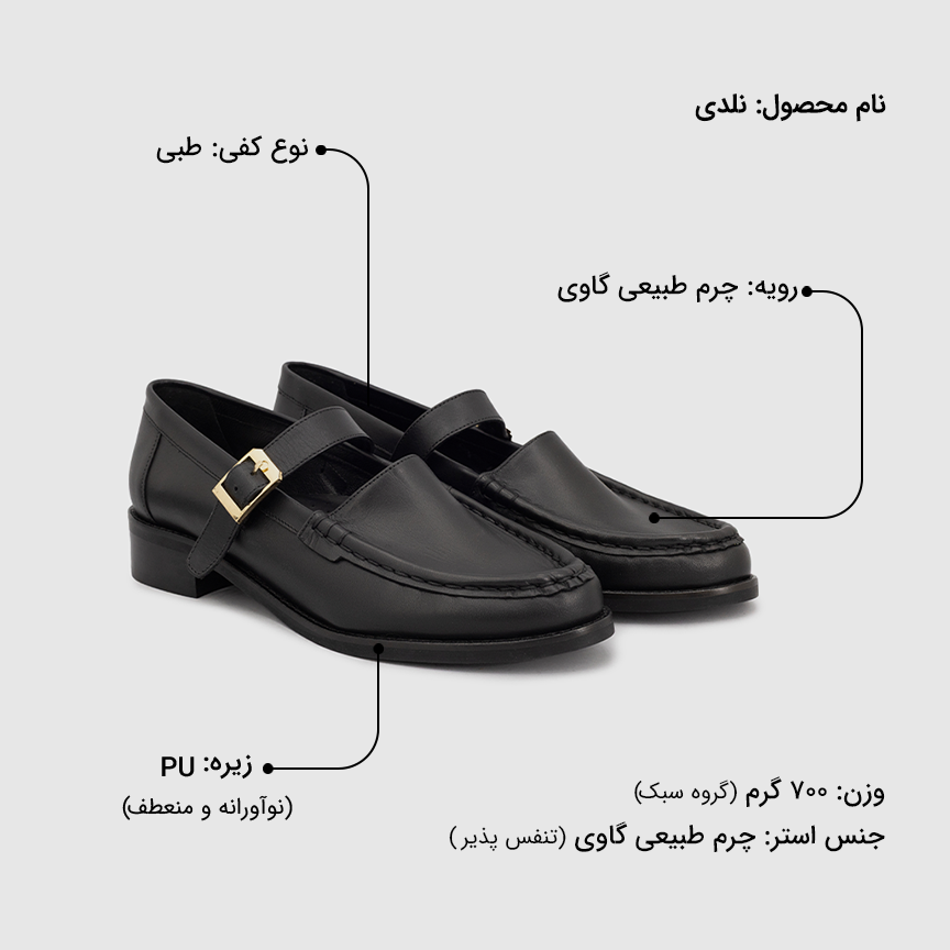 کفش زنانه نلدی