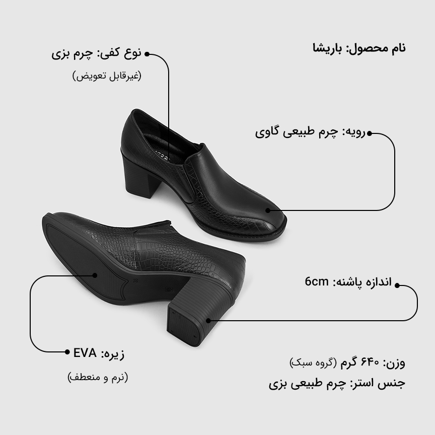 کفش زنانه باریشا