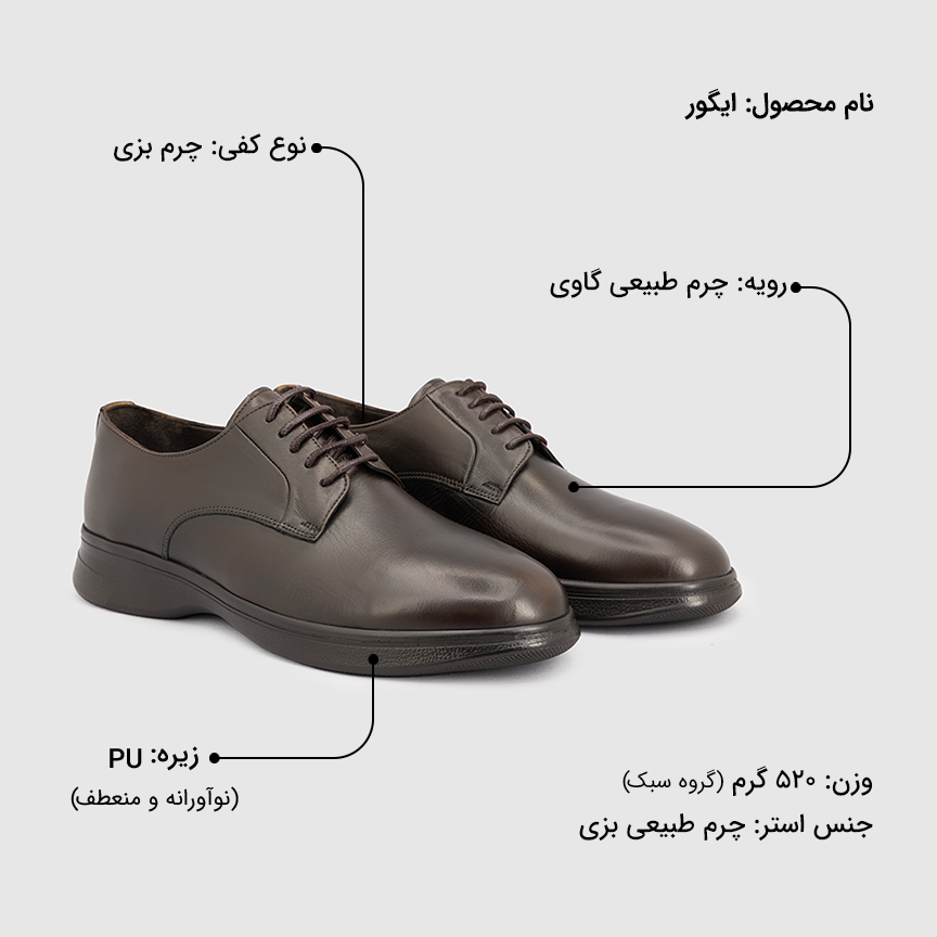 کفش مردانه ایگور